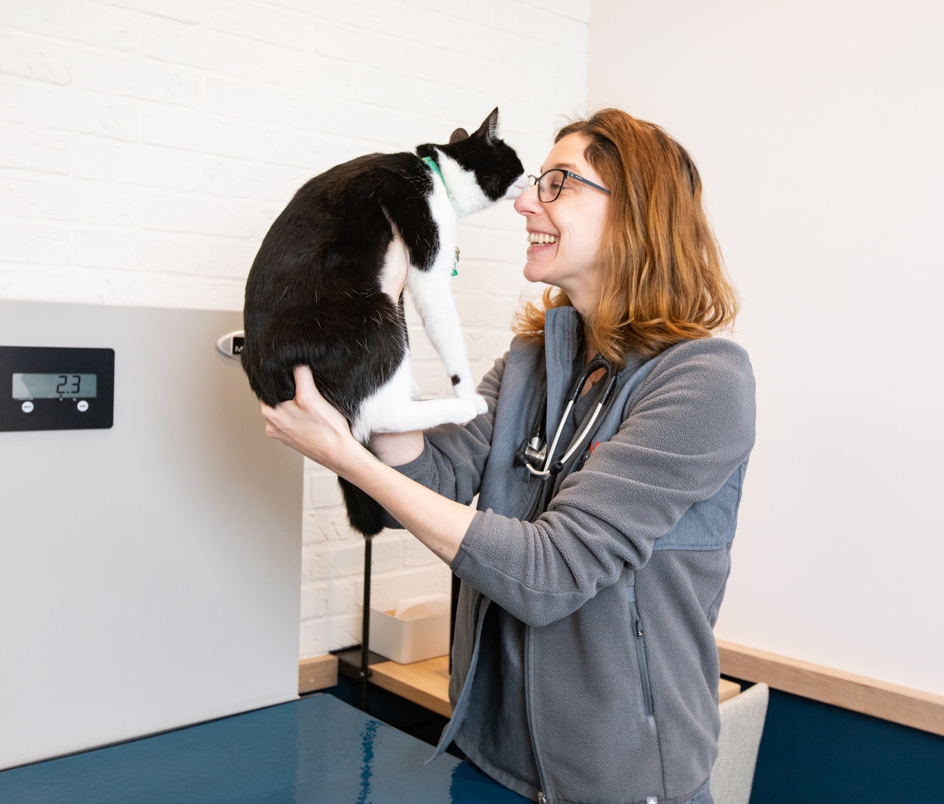 Hoboken Animal Hospital & Vet Clinic Bond Vet